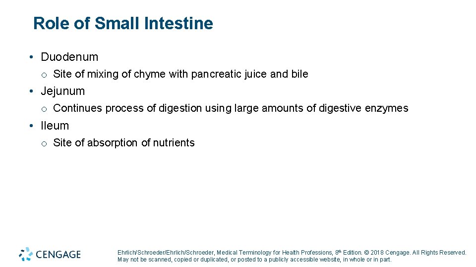 Role of Small Intestine • Duodenum o Site of mixing of chyme with pancreatic Role of Small Intestine • Duodenum o Site of mixing of chyme with pancreatic