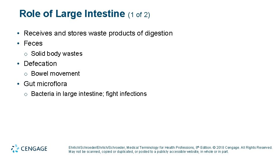 Role of Large Intestine (1 of 2) • Receives and stores waste products of