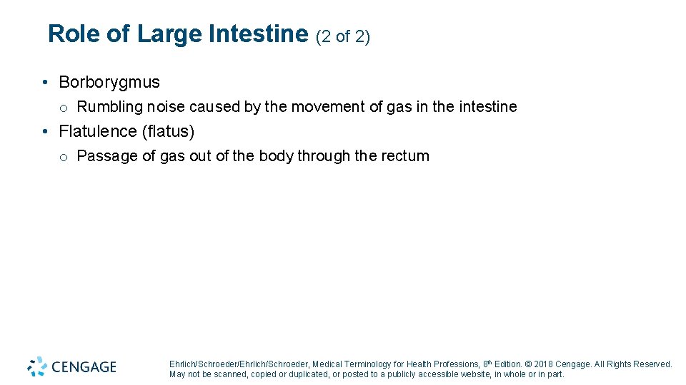 Role of Large Intestine (2 of 2) • Borborygmus o Rumbling noise caused by Role of Large Intestine (2 of 2) • Borborygmus o Rumbling noise caused by