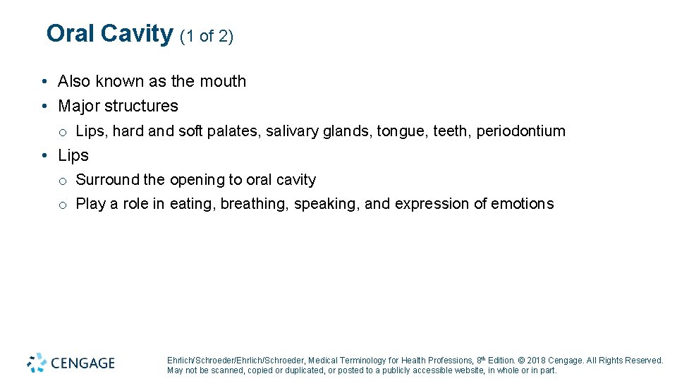 Oral Cavity (1 of 2) • Also known as the mouth • Major structures