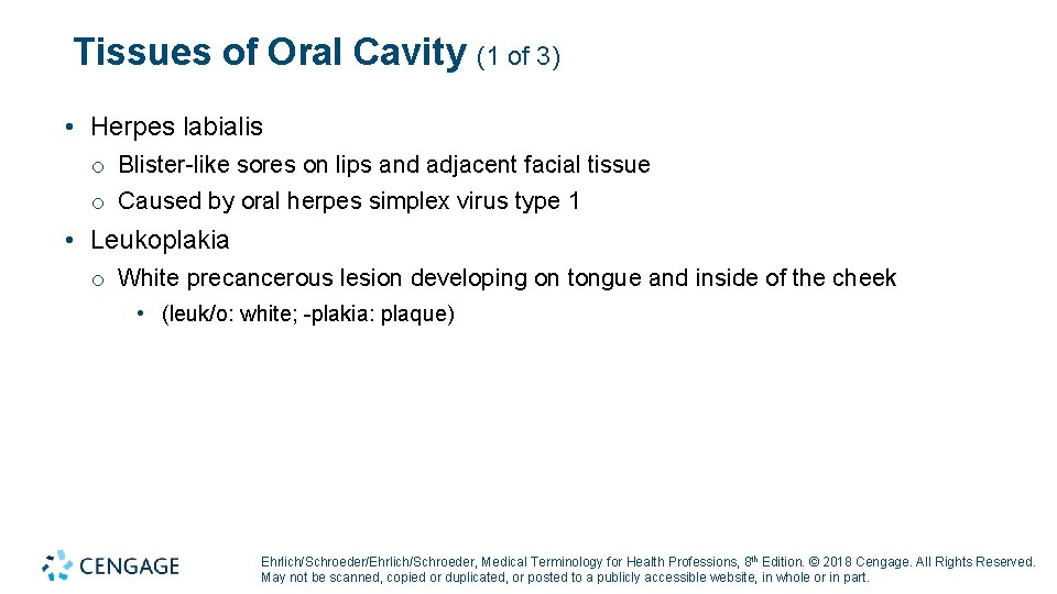 Tissues of Oral Cavity (1 of 3) • Herpes labialis o Blister-like sores on