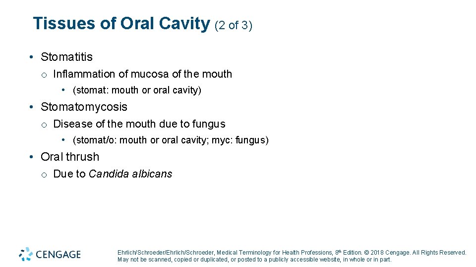 Tissues of Oral Cavity (2 of 3) • Stomatitis o Inflammation of mucosa of Tissues of Oral Cavity (2 of 3) • Stomatitis o Inflammation of mucosa of