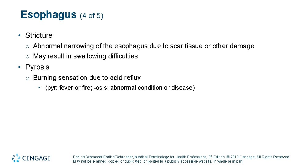 Esophagus (4 of 5) • Stricture o Abnormal narrowing of the esophagus due to