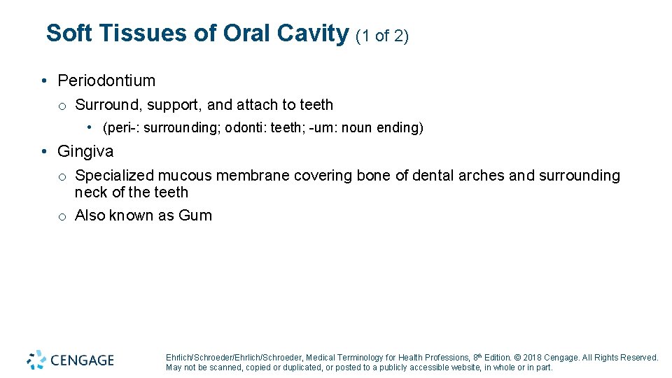 Soft Tissues of Oral Cavity (1 of 2) • Periodontium o Surround, support, and Soft Tissues of Oral Cavity (1 of 2) • Periodontium o Surround, support, and
