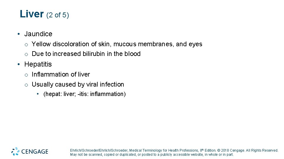 Liver (2 of 5) • Jaundice o Yellow discoloration of skin, mucous membranes, and Liver (2 of 5) • Jaundice o Yellow discoloration of skin, mucous membranes, and