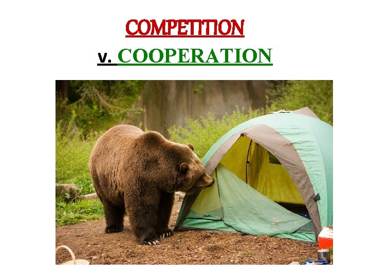 COMPETITION v. COOPERATION 