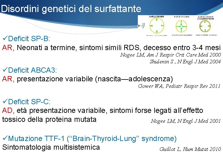 Disordini genetici del surfattante üDeficit SP-B: AR, Neonati a termine, sintomi simili RDS, decesso