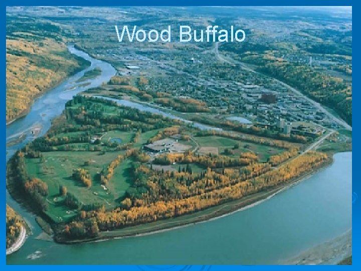 Wood Buffalo 