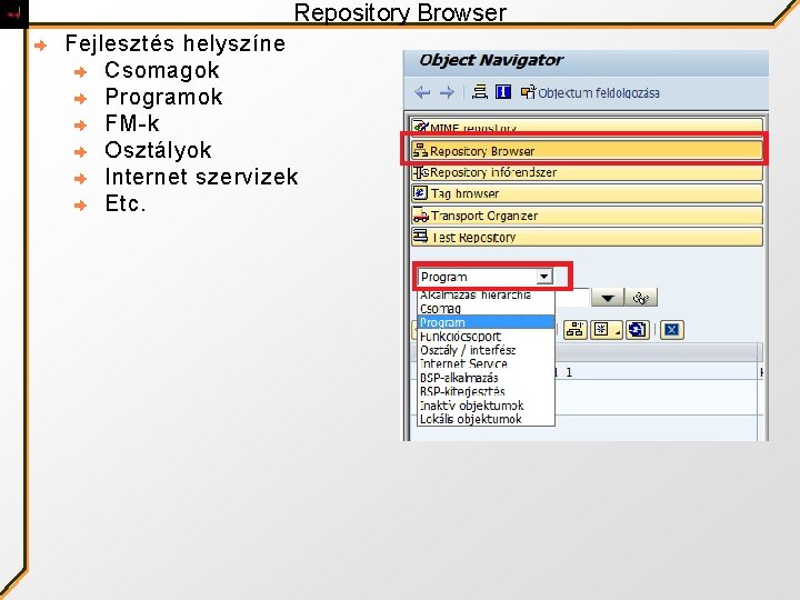Repository Browser Fejlesztés helyszíne Csomagok Programok FM-k Osztályok Internet szervizek Etc. 