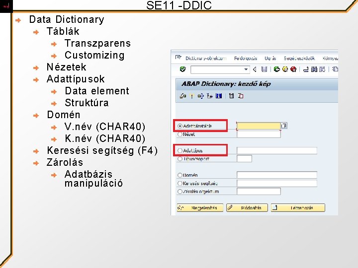 SE 11 -DDIC Data Dictionary Táblák Transzparens Customizing Nézetek Adattípusok Data element Struktúra Domén