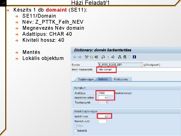 Házi Feladat/1 Készíts 1 db domaint (SE 11): SE 11/Domain Név: Z_PTTK_Felh_NEV Megnevezés Név