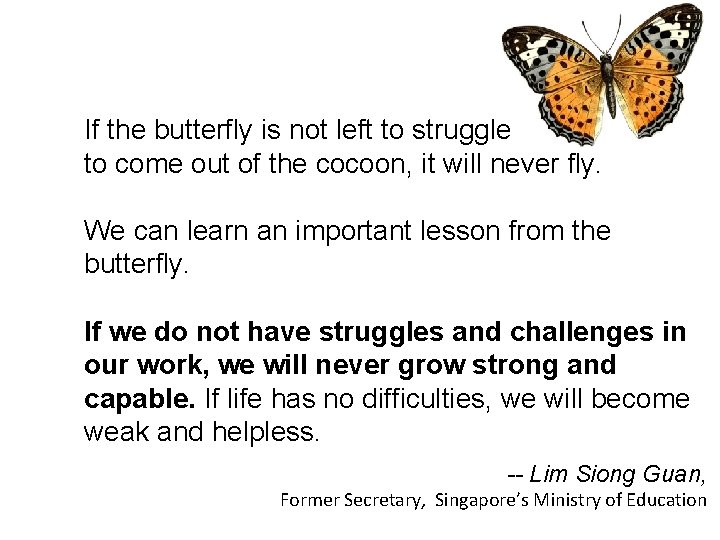 If the butterfly is not left to struggle to come out of the cocoon,
