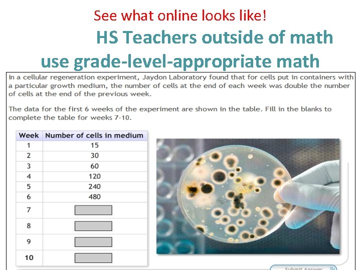 See what online looks like! HS Teachers outside of math use grade-level-appropriate math 
