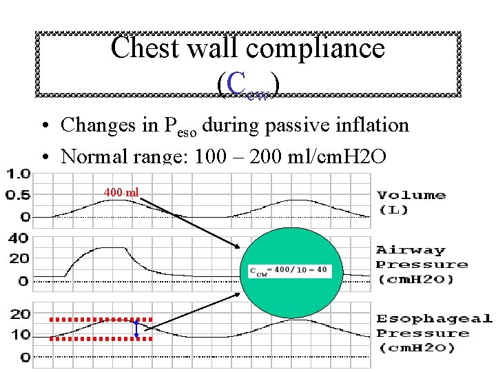 Chest wall compliance (Ccw) • Changes in Peso during passive inflation • Normal range:
