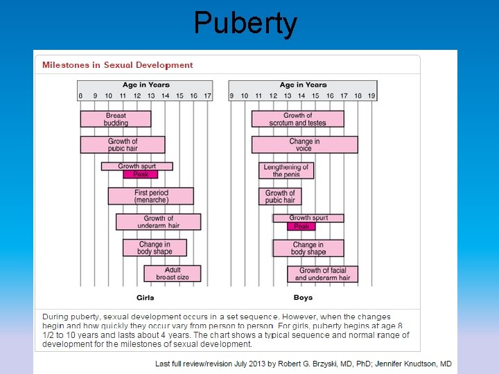 Puberty 