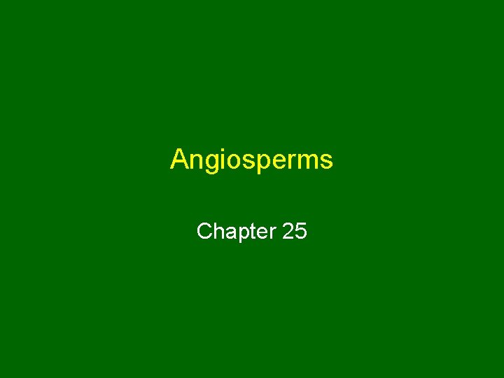 Angiosperms Chapter 25 