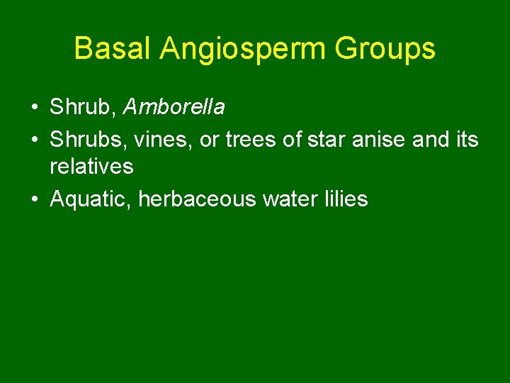 Basal Angiosperm Groups • Shrub, Amborella • Shrubs, vines, or trees of star anise