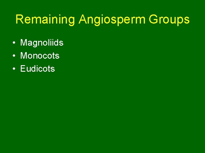 Remaining Angiosperm Groups • Magnoliids • Monocots • Eudicots 