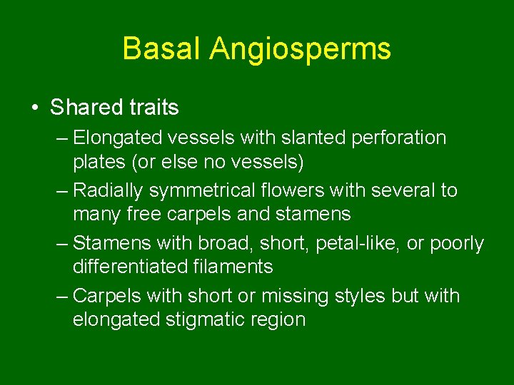 Basal Angiosperms • Shared traits – Elongated vessels with slanted perforation plates (or else