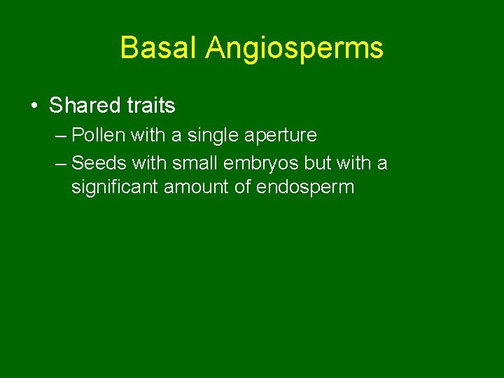 Basal Angiosperms • Shared traits – Pollen with a single aperture – Seeds with