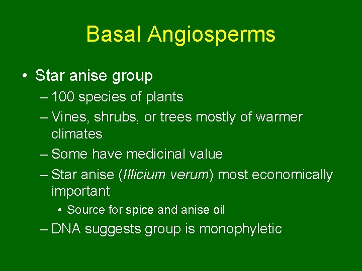 Basal Angiosperms • Star anise group – 100 species of plants – Vines, shrubs,