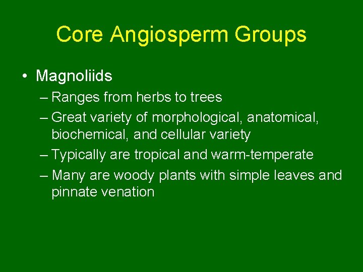 Core Angiosperm Groups • Magnoliids – Ranges from herbs to trees – Great variety