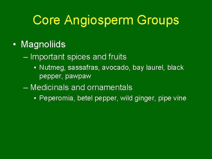 Core Angiosperm Groups • Magnoliids – Important spices and fruits • Nutmeg, sassafras, avocado,