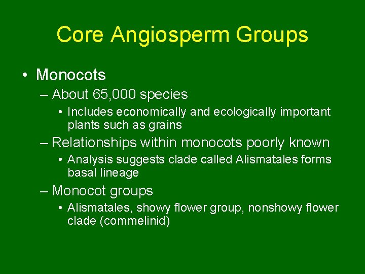 Core Angiosperm Groups • Monocots – About 65, 000 species • Includes economically and