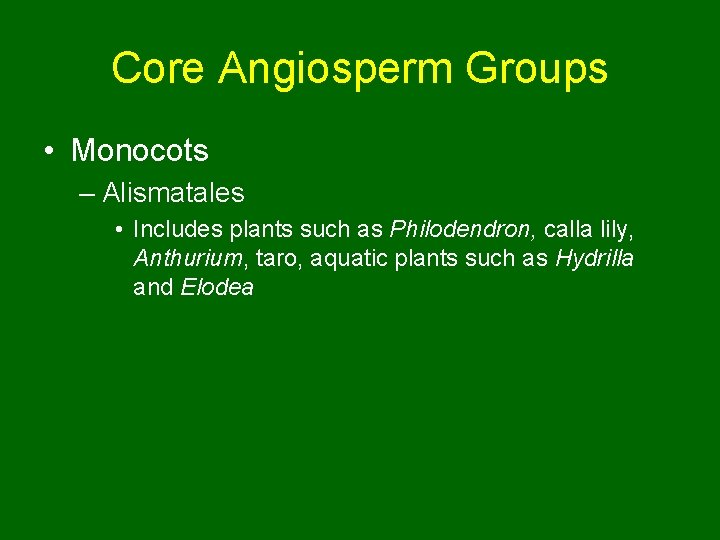 Core Angiosperm Groups • Monocots – Alismatales • Includes plants such as Philodendron, calla