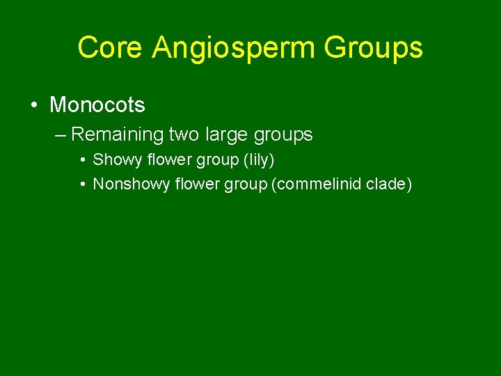 Core Angiosperm Groups • Monocots – Remaining two large groups • Showy flower group