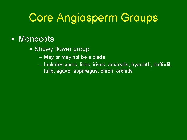 Core Angiosperm Groups • Monocots • Showy flower group – May or may not