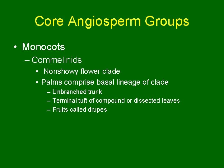 Core Angiosperm Groups • Monocots – Commelinids • Nonshowy flower clade • Palms comprise