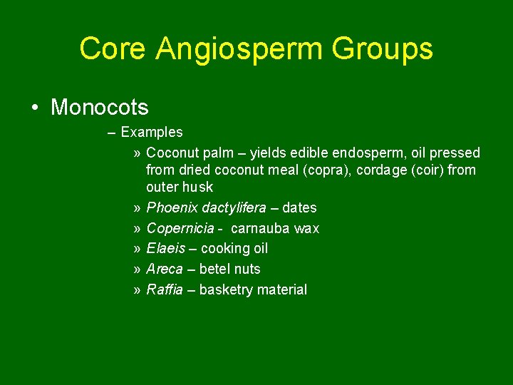 Core Angiosperm Groups • Monocots – Examples » Coconut palm – yields edible endosperm,