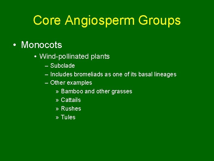 Core Angiosperm Groups • Monocots • Wind-pollinated plants – Subclade – Includes bromeliads as