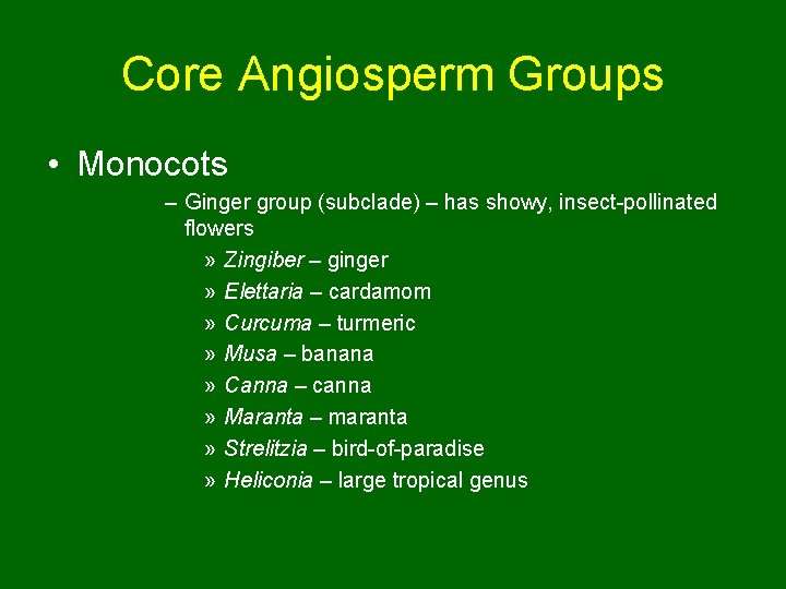 Core Angiosperm Groups • Monocots – Ginger group (subclade) – has showy, insect-pollinated flowers