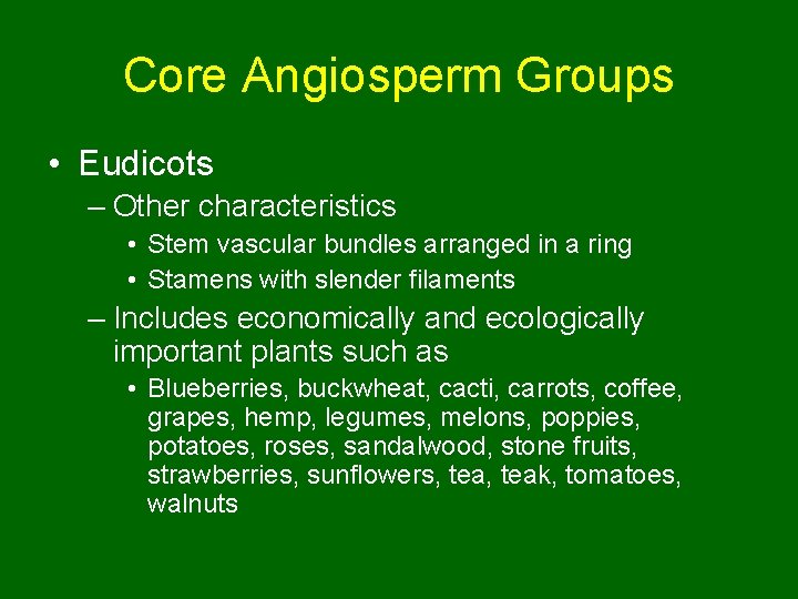 Core Angiosperm Groups • Eudicots – Other characteristics • Stem vascular bundles arranged in