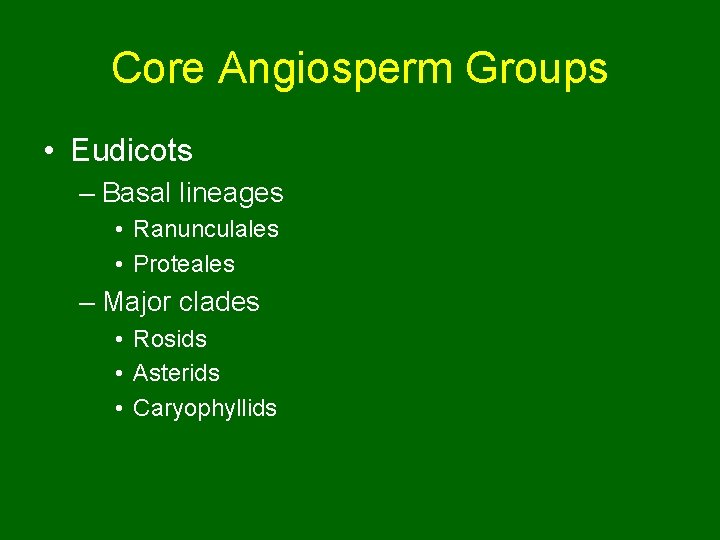 Core Angiosperm Groups • Eudicots – Basal lineages • Ranunculales • Proteales – Major