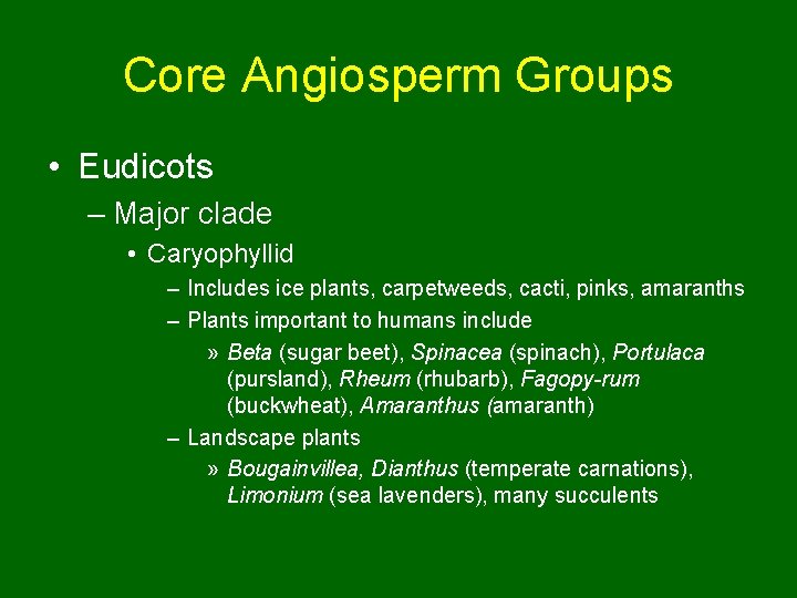 Core Angiosperm Groups • Eudicots – Major clade • Caryophyllid – Includes ice plants,