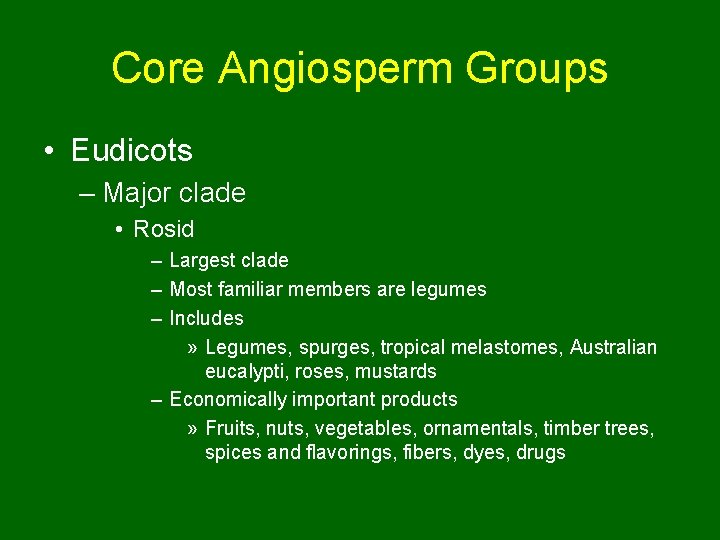 Core Angiosperm Groups • Eudicots – Major clade • Rosid – Largest clade –