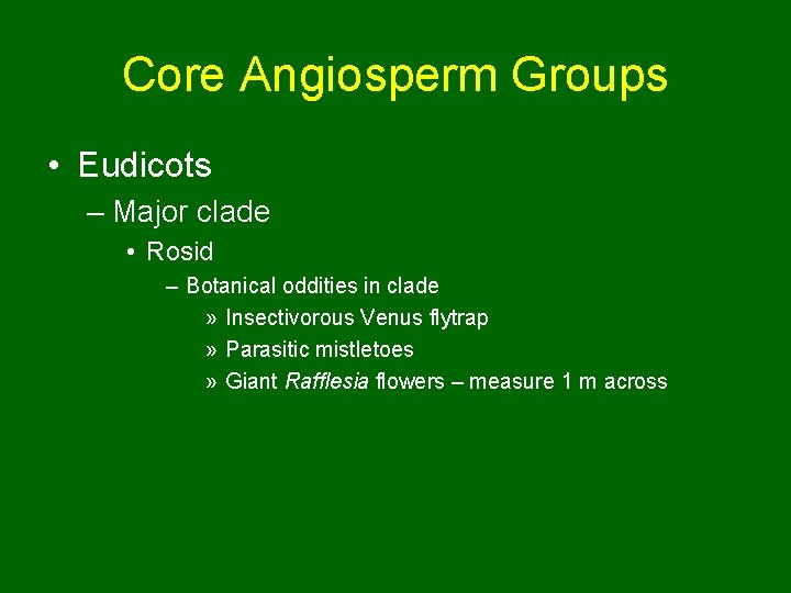 Core Angiosperm Groups • Eudicots – Major clade • Rosid – Botanical oddities in