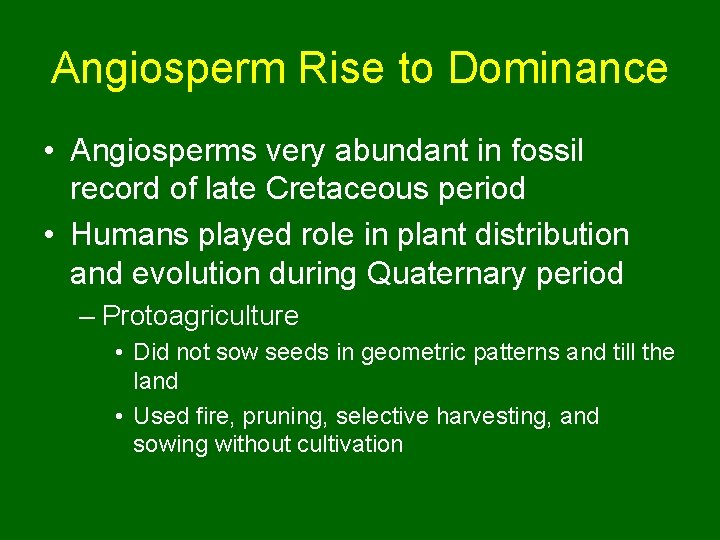 Angiosperm Rise to Dominance • Angiosperms very abundant in fossil record of late Cretaceous