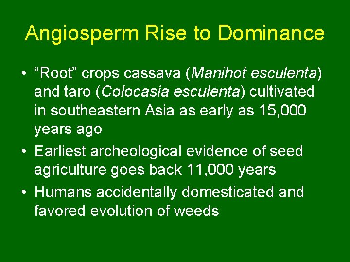 Angiosperm Rise to Dominance • “Root” crops cassava (Manihot esculenta) and taro (Colocasia esculenta)