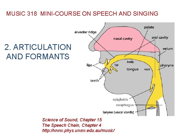 MUSIC 318 MINI-COURSE ON SPEECH AND SINGING 2. ARTICULATION AND FORMANTS Science of Sound,