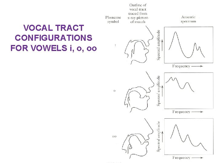 VOCAL TRACT CONFIGURATIONS FOR VOWELS i, o, oo 