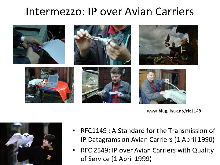 Intermezzo: IP over Avian Carriers www. blug. linux. no/rfc 1149 • RFC 1149 :