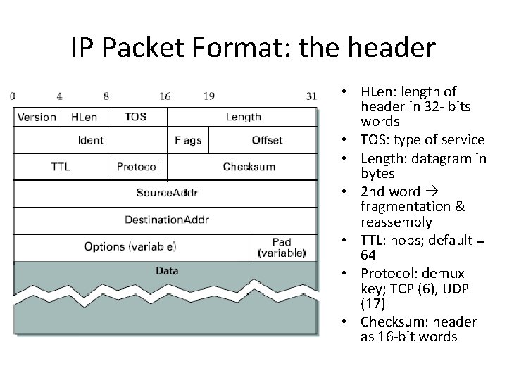 IP Packet Format: the header • HLen: length of header in 32 - bits