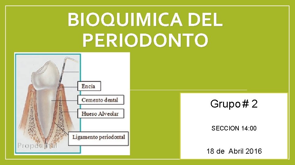 BIOQUIMICA DEL PERIODONTO Grupo # 2 SECCION 14: 00 18 de Abril 2016 