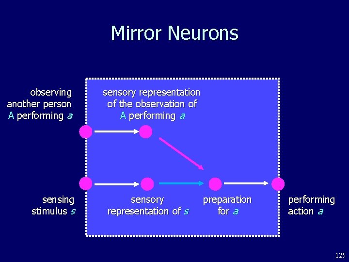 Mirror Neurons observing another person A performing a sensing stimulus s sensory representation of