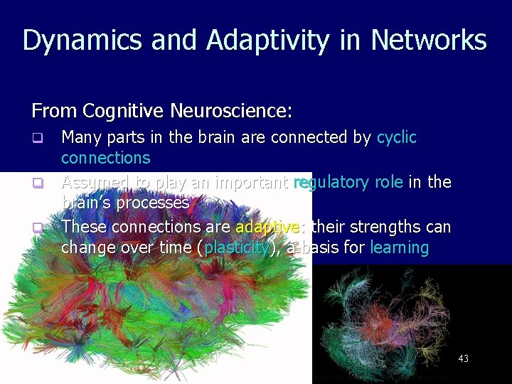 Dynamics and Adaptivity in Networks From Cognitive Neuroscience: Many parts in the brain are
