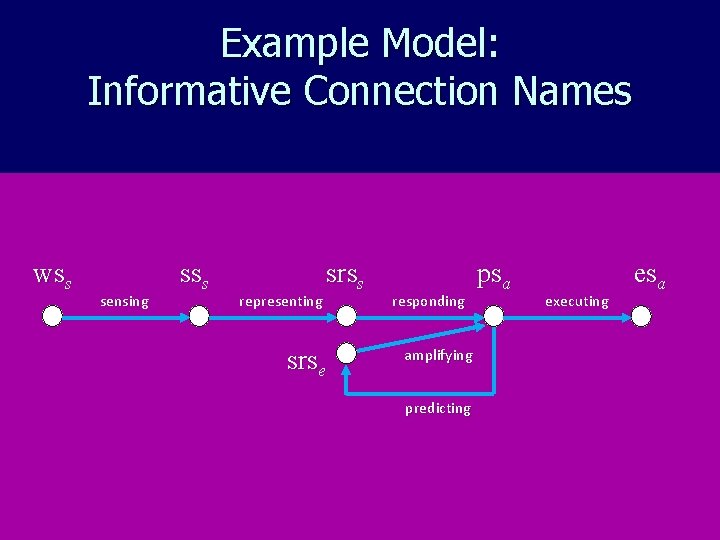 Example Model: Informative Connection Names wss sensing sss representing srss srse responding psa executing